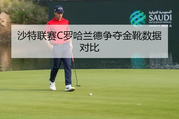 sha-te-lian-sai-luo-ha-lan-de-zheng-duo-jin-xue-shu-ju-dui-bi-2-413.jpg