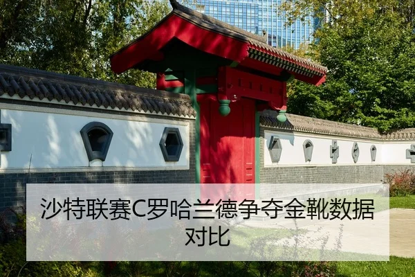 沙特联赛C罗哈兰德争夺金靴数据对比