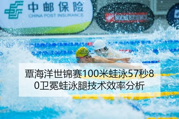 tan-hai-yang-shi-jin-sai-mi-wa-yong-miao-wei-mian-wa-yong-tui-ji-shu-xiao-lv-fen-xi-2-326.jpg