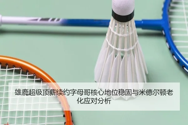 xiong-lu-chao-ji-ding-xin-xu-yue-zi-mu-ge-he-xin-di-wei-wen-gu-yu-mi-de-er-dun-lao-hua-ying-dui-fen-xi-3-522.jpg